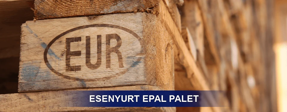 Esenyurt Standart Yapı