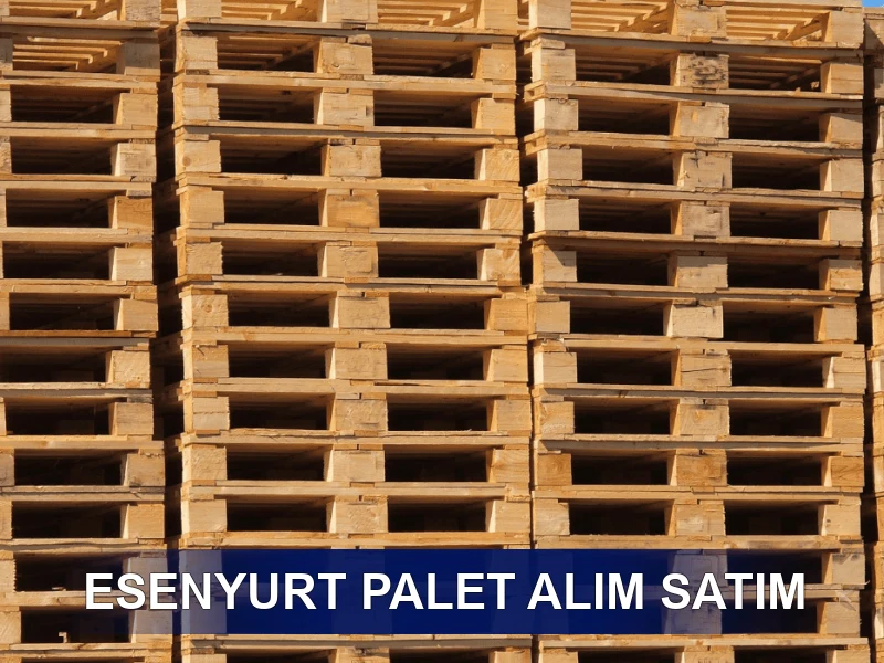 Esenyurt Palet Galeri 3